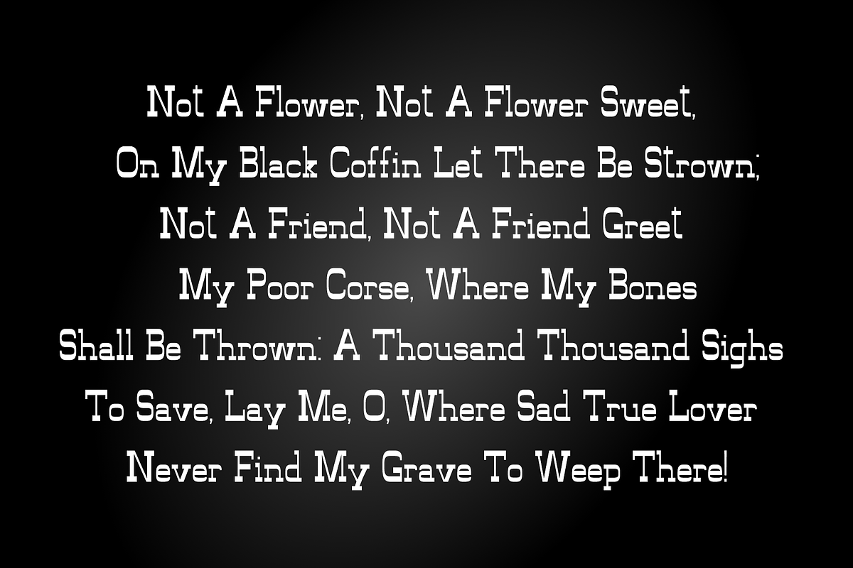 Librarius - Modern Typeface, a Serif Font by Made by Cap (Photo 3 of 3)