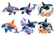 Watercolor Orca Clipart, an Illustration by Designworld (Thumbnail 2 of 6)
