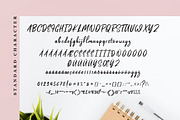 Pinkalova - Handwritting Script Font, a Script Font by FHFont (Thumbnail 5 of 8)
