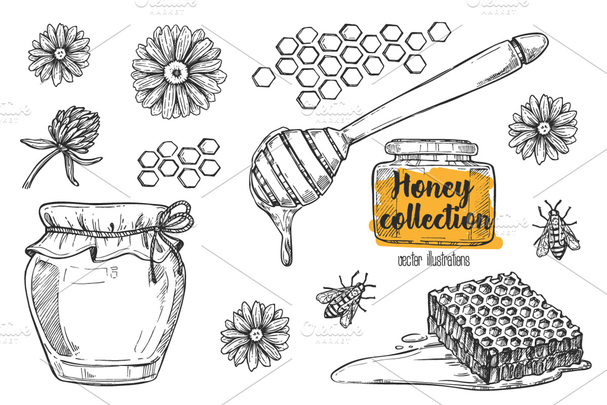 Honey vintage illustration, a Food Illustration by Alfazet Chronicles