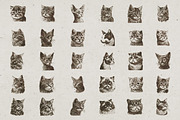 Cat Breeds Portrait Illustrations, an Animal Illustration by Nocturnal Wolf (Thumbnail 9 of 10)