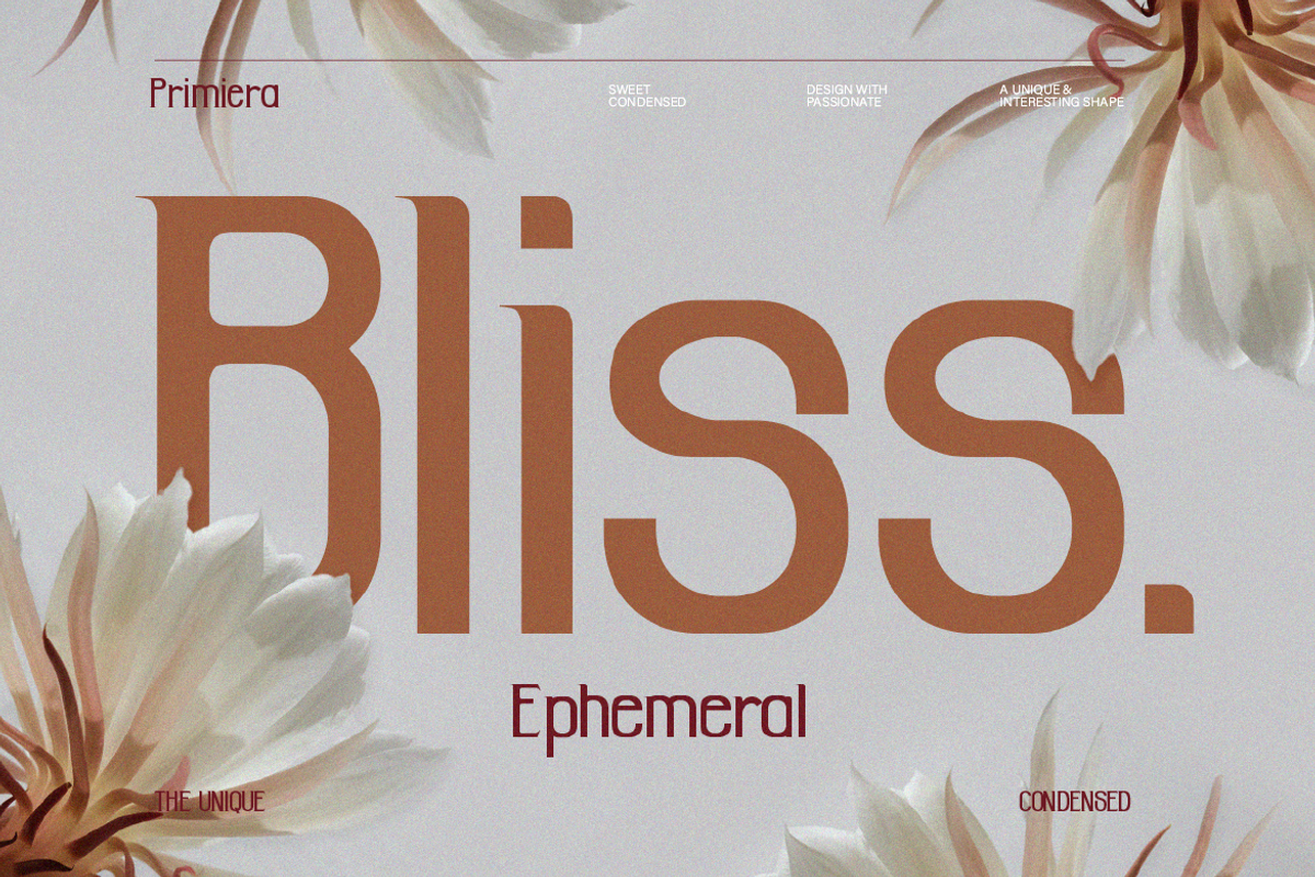 Primiera, a Sans Serif Font by Burntilldead (Photo 3 of 13)