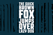 Revolution Gothic P, a Sans Serif Font by Dharma Type (Thumbnail 6 of 11)