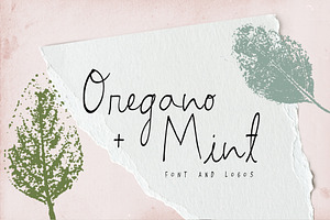 Script Font And Logos - Oregano Mint