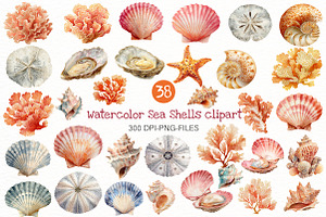 Watercolor Sea Shells clipart, an Illustration by Designworld