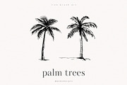 Palm Trees, an Object Illustration by PeDe Designs (Thumbnail 8 of 9)