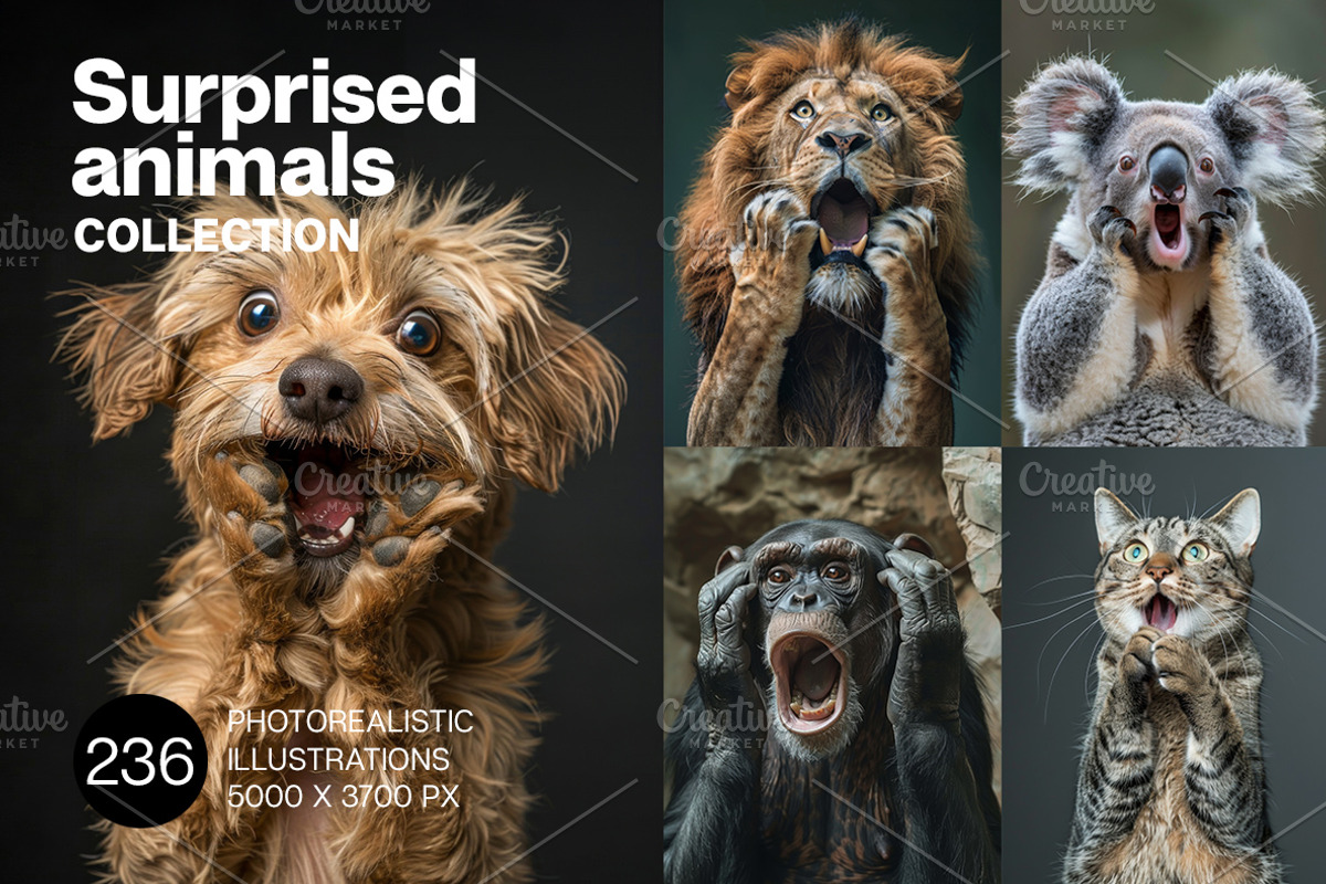 236 surprised animals, an Animal Photo by Handmadefont (Photo 1 of 241)