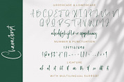 Gareth Bayu - Handwritten Font, a Script Font by StringLabs (Thumbnail 9 of 10)