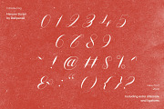 Herano - Elegant Script Font, a Script Font by delipensil (Thumbnail 9 of 10)