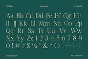 Salmine Modern Elegant Serif Font, a Serif Font by Vadovastd (Thumbnail 2 of 8)