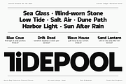 ModeSans Modern Sans Serif Typeface, a Sans Serif Font by VP Fonts (Thumbnail 31 of 39)