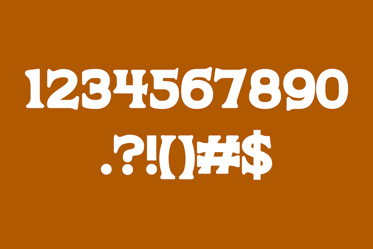 Chonky Fonty | A chunky display, a Serif Font by OneTen The Studio (Photo 4 of 9)
