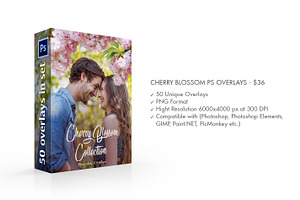 Cherry Blossom Photoshop Overlays