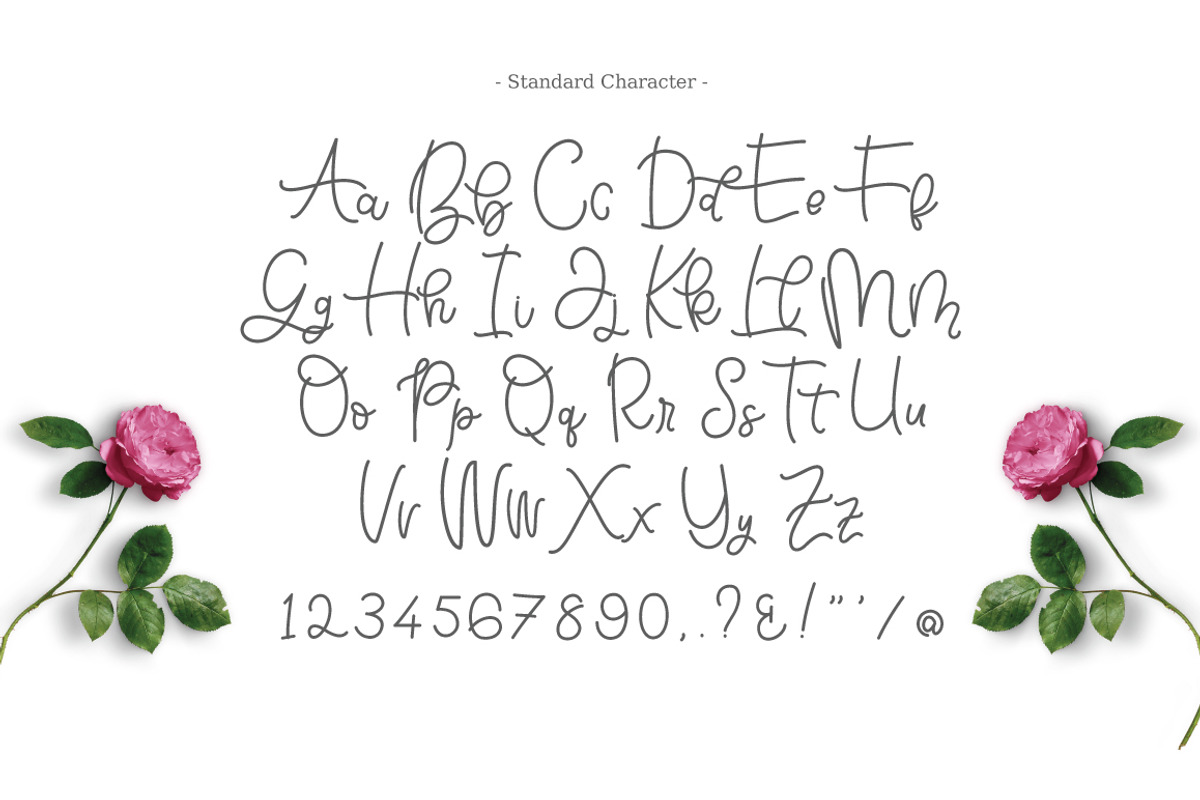 Bellinda Script (20% Discount) preview 5