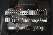 Velmiro - Modern Display Font, a Handwritten Font by overlaytemplates (Thumbnail 5 of 5)