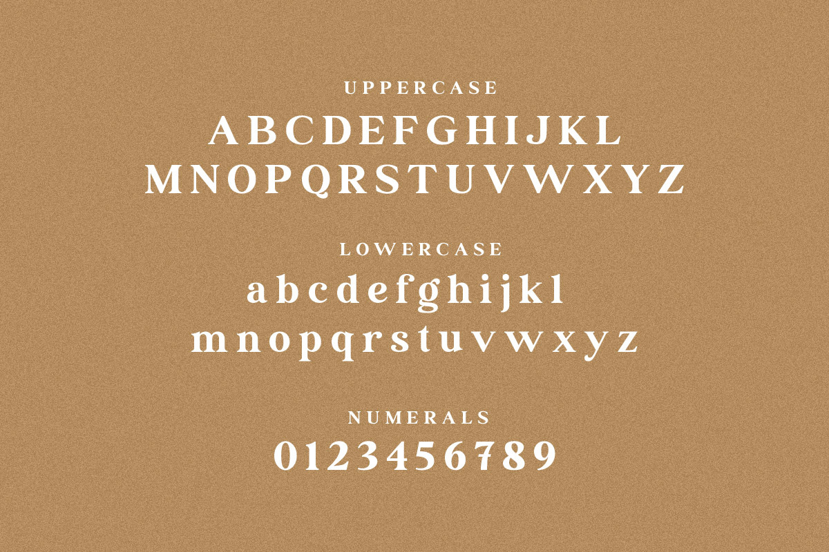 Ransta Modern Serif Font, a Serif Font by Multype Studio (Photo 9 of 12)