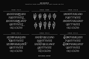 Everline - Luxury Serif Font Family, a Serif Font by VP Fonts (Thumbnail 13 of 22)