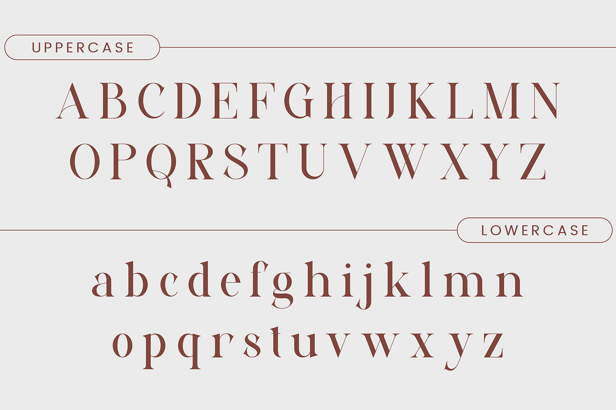 DANZA - Modern Typface Serif, a Serif Font by AnnofaType (Photo 6 of 8)