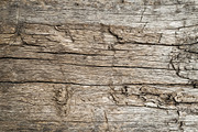35 Wood Background Texture Pack, a Background Graphic by smishura (Thumbnail 6 of 6)