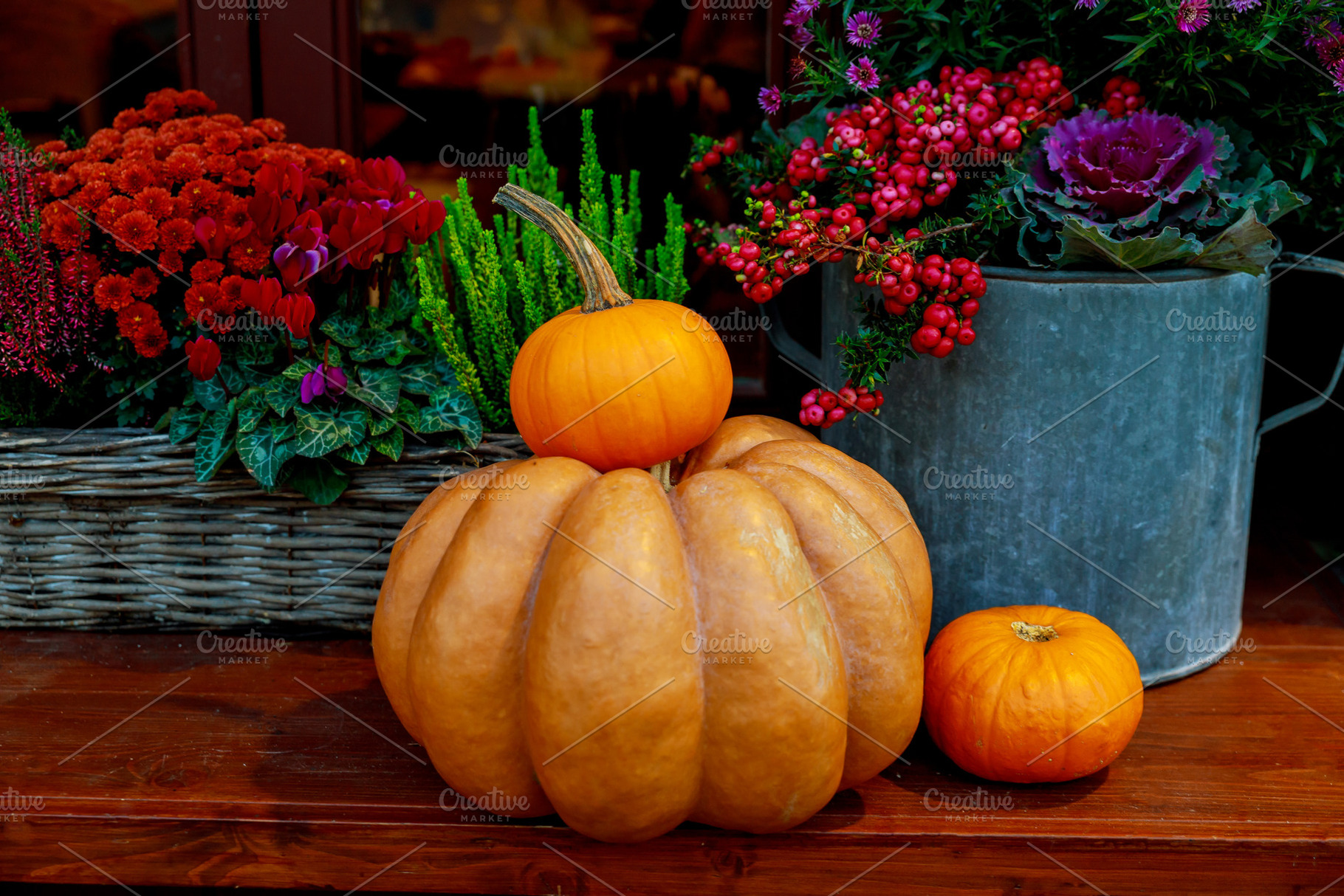 Flowers and pumpkins decoration, a Food & Drink Photo by Ungvar Studio