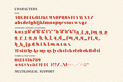 Billie Crimson - Stylish Serif Font, a Serif Font by Letterhend Studio (Thumbnail 8 of 11)