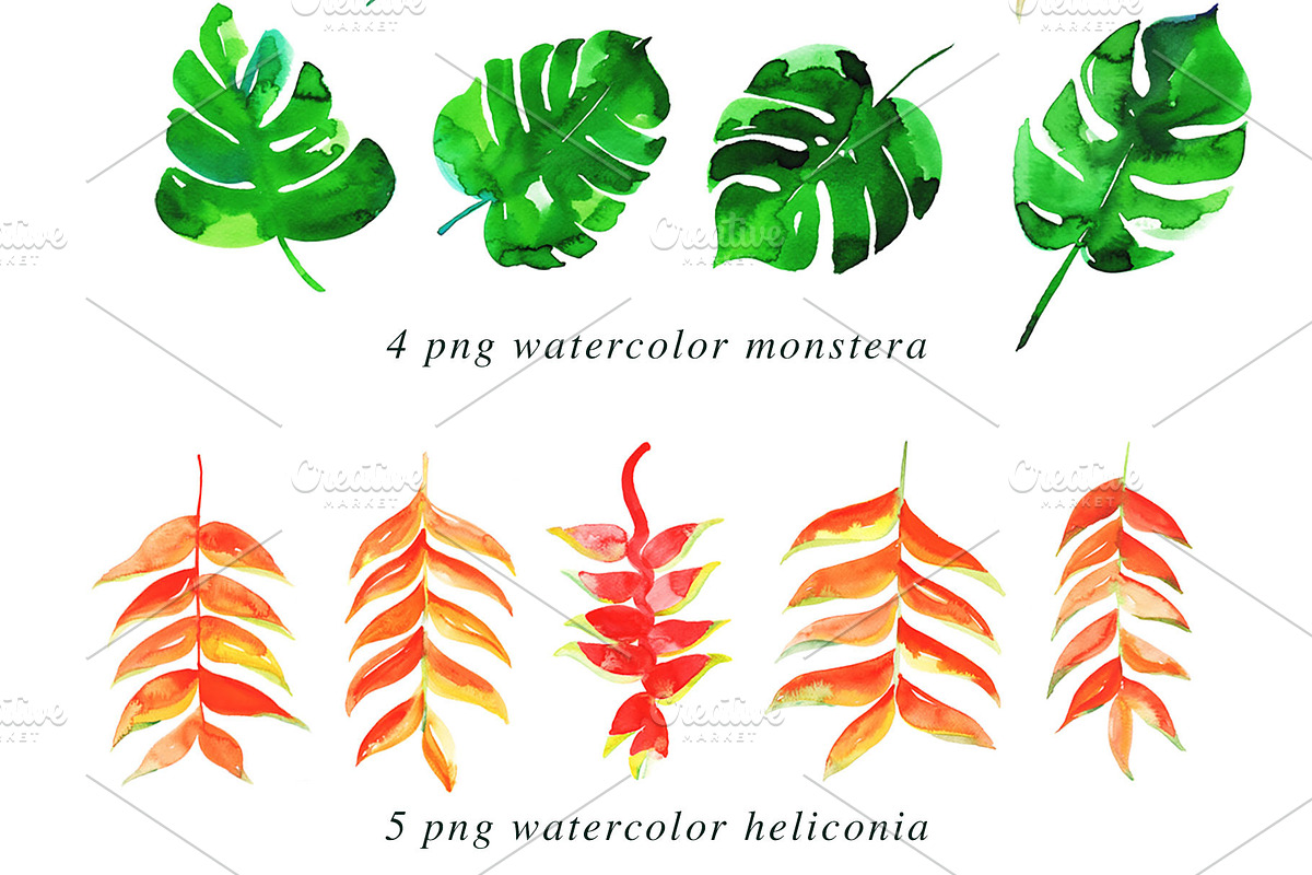 22 Tropical Watercolor Illustrations, an Illustration by Heartmade by Claudia (Photo 2 of 4)
