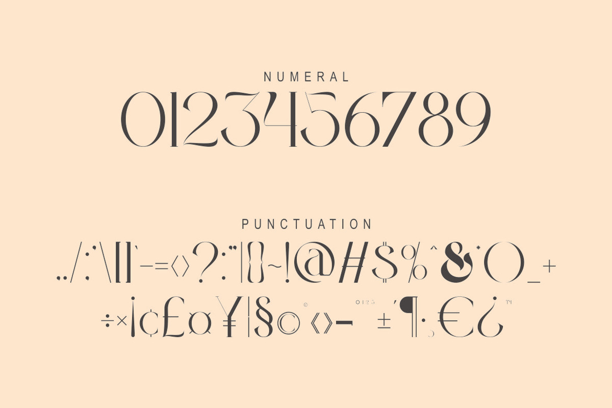 Violina, a Serif Font by Kenrichi (Photo 4 of 10)