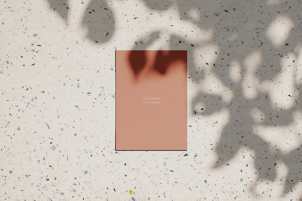 Louve – Shadow Mockup Scene Creator, a Product Mockup by October November (Photo 12 of 15)