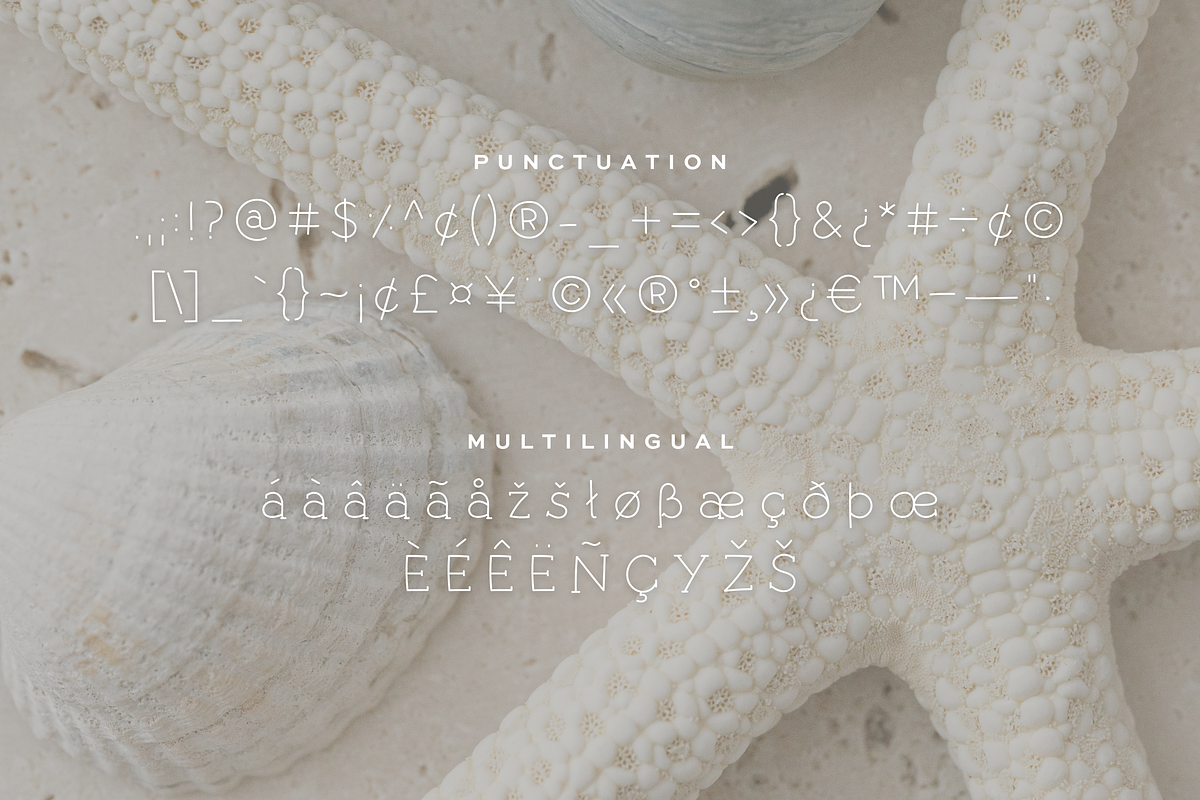 Seashells | A Handwritten Slab, a Slab Serif Font by Vanem Studio (Photo 5 of 9)