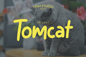 Tomcat - Cheerfull Day Font, a Font by TrimStudio