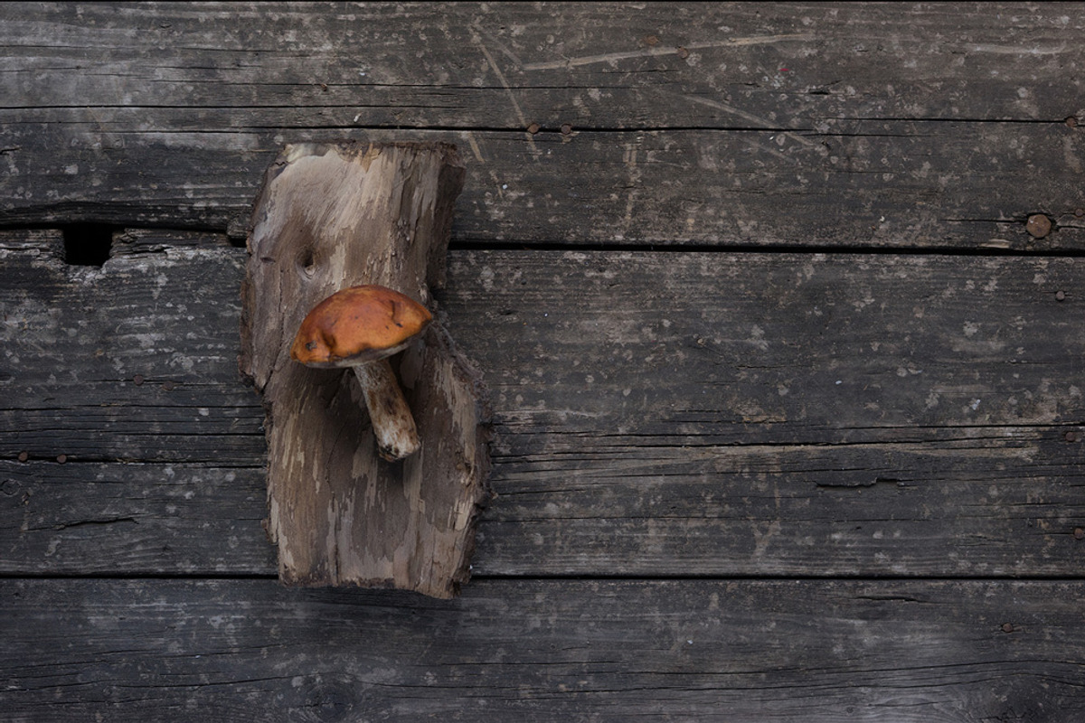 10 Dark tones presets for Lightroom, an Action Add-On by Elijah (Photo 4 of 19)