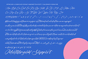 Rustic Diary Elegant Script Font, a Script Font by stylishtype.co (Thumbnail 19 of 20)