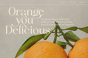 Idealist Serif, a Serif Font by Nicky Laatz (Thumbnail 22 of 34)
