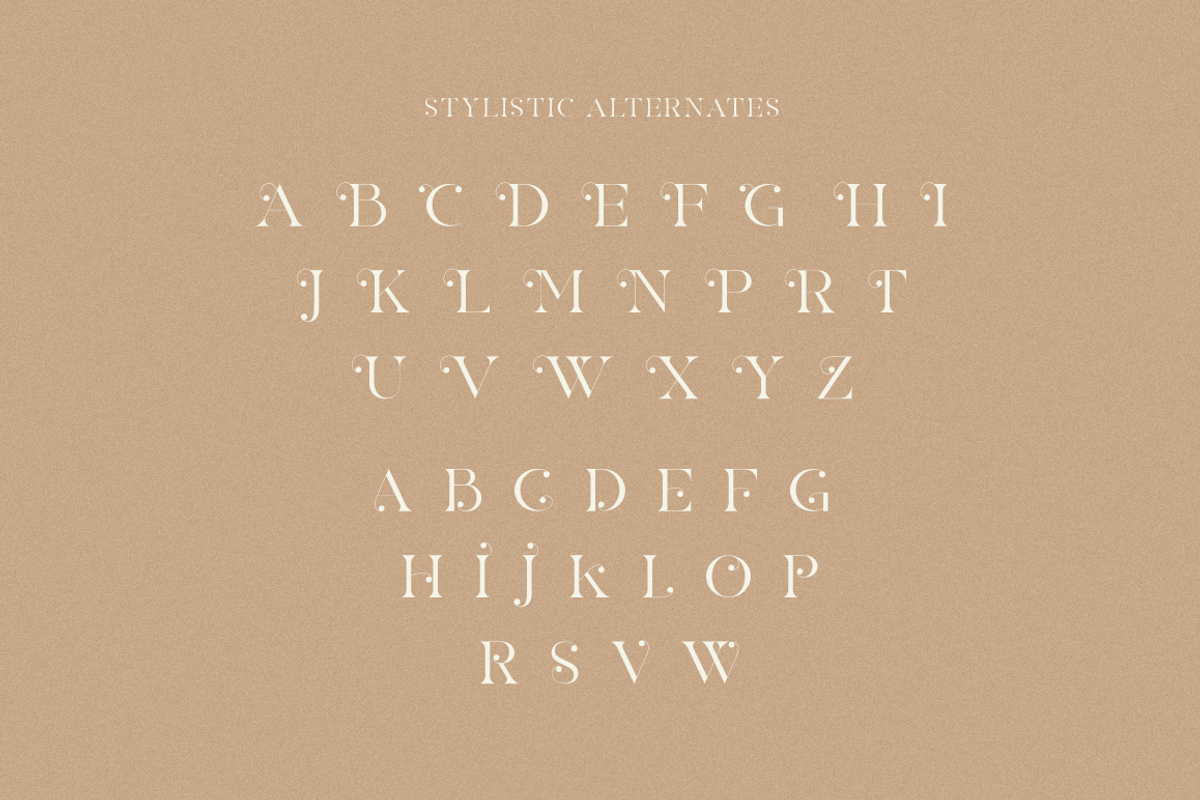 The Heart Mighty - Elegant Serif, a Serif Font by RockboyStd (Photo 11 of 12)