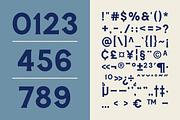 SFC Mackerel (Refined) - Font Duo, a Serif Font by Skilline Supply Co. (Thumbnail 9 of 22)