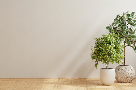 Empty room with wooden floor., an Architecture Photo by vanitjan