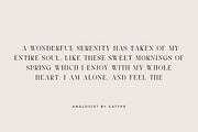 Analogist, a Serif Font by Gatype (Thumbnail 7 of 9)
