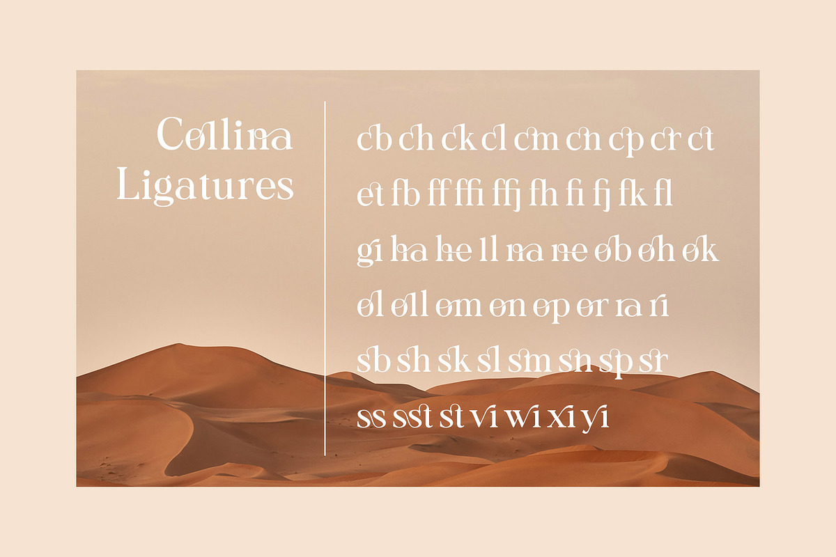 Collina // Ligature Serif Font, a Serif Font by BrandSemut (Photo 11 of 11)