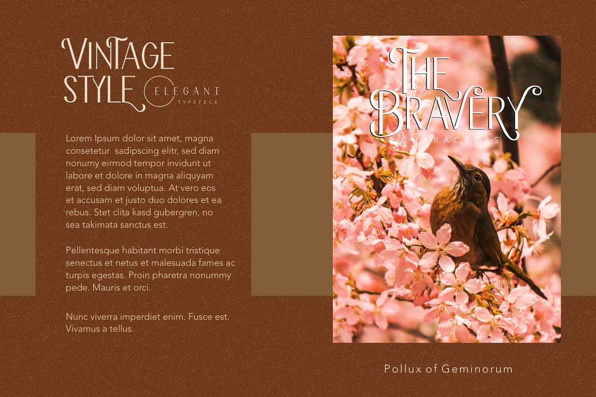 The Bravery, a Serif Font by Pollux of Geminorum (Photo 6 of 12)