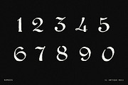 Elegant Vintage Calligraphy Font, a Script Font by Century Library (Thumbnail 5 of 7)