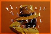 Michale Modern Serif Typeface, a Serif Font by Alfinart (Thumbnail 8 of 10)