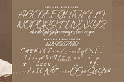 Tokyo Essence, a Handwritten Font by Integritype Studio (Thumbnail 13 of 15)