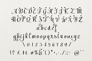 Meybi, a Script Font by Digital Typeface Studio (Thumbnail 2 of 6)
