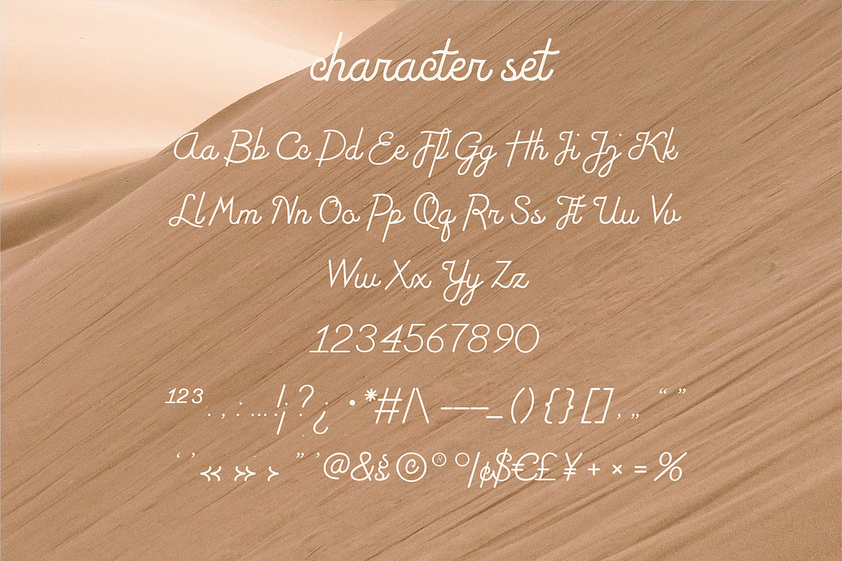 Milena Monoline Script, a Script Font by PeanutButter Type (Photo 4 of 7)