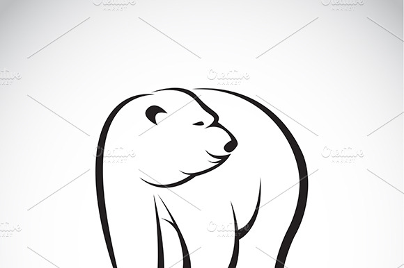 Vector Of A Bear Design. Animal.