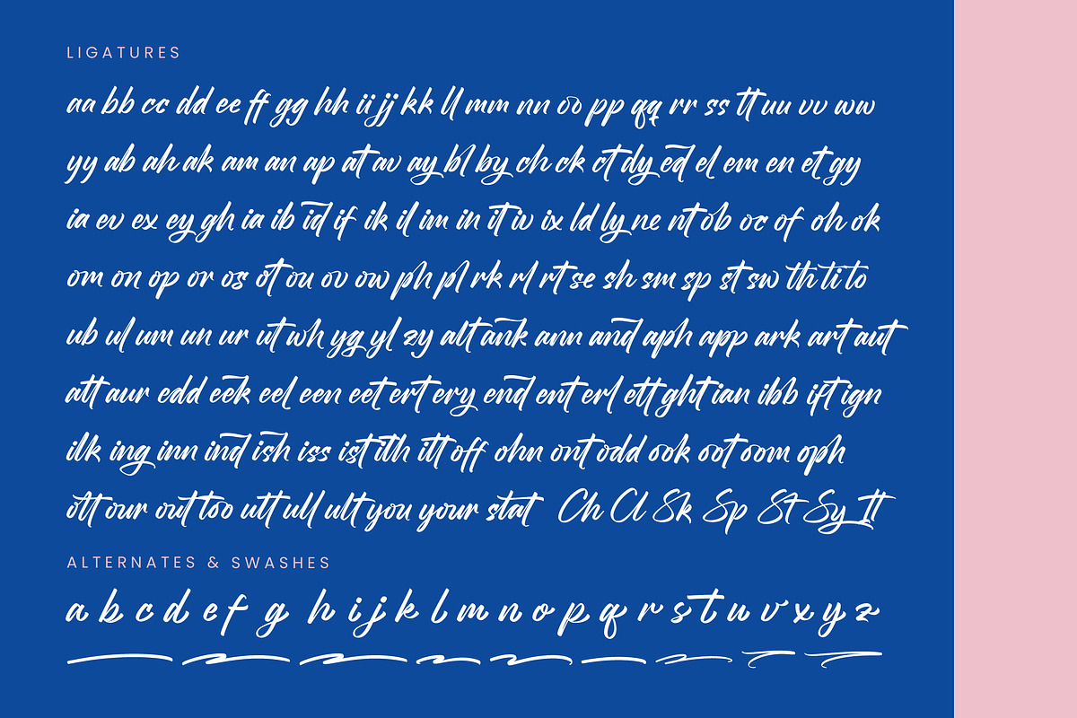 Stagets Thiender Bold Handwritten, a Script Font by stylishtype.co (Photo 18 of 20)