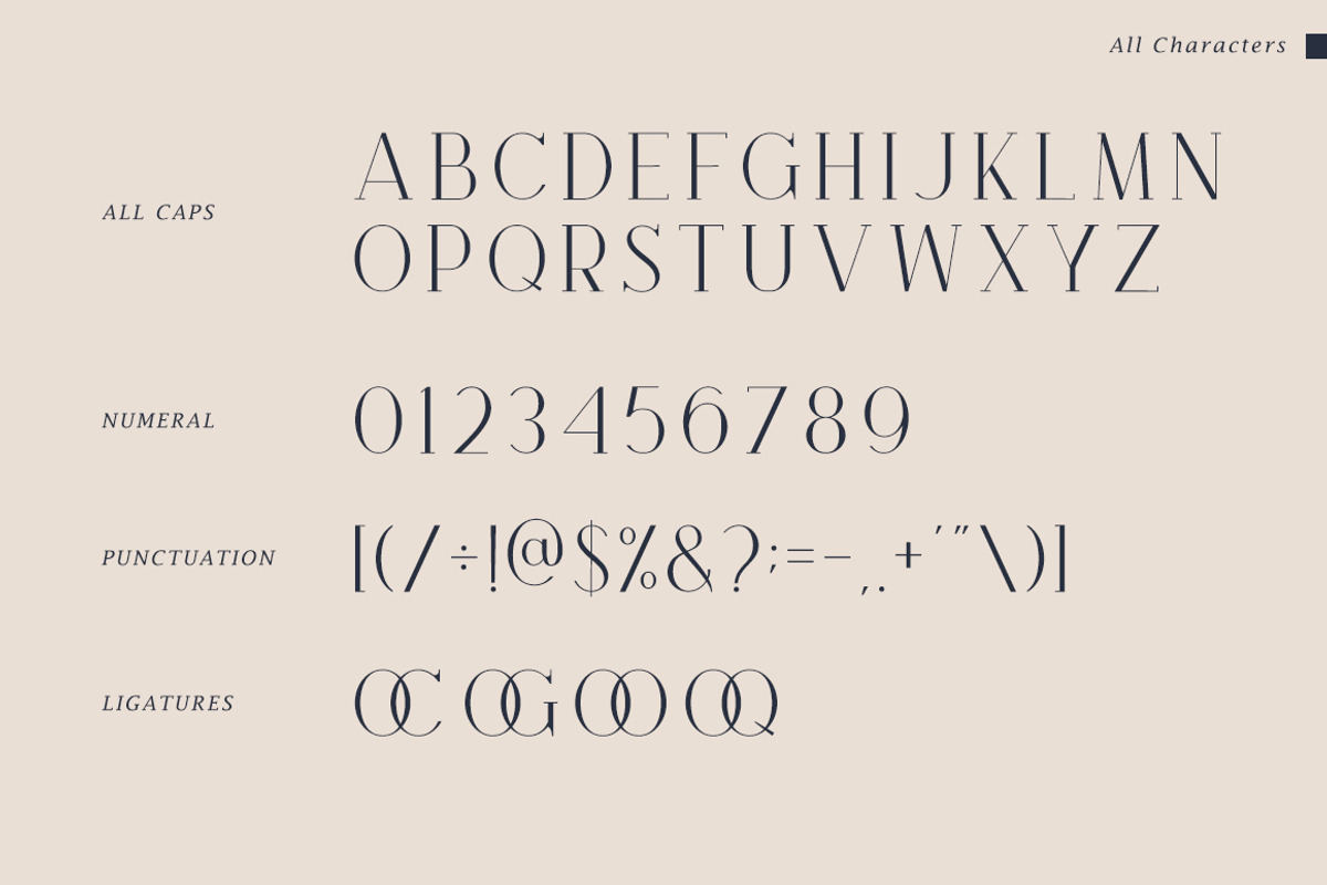Brooke Minimalist Serif Font, a Serif Font by Heinzel Std (Photo 11 of 13)