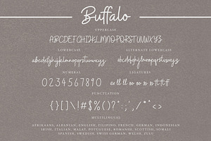 Buffalo Font