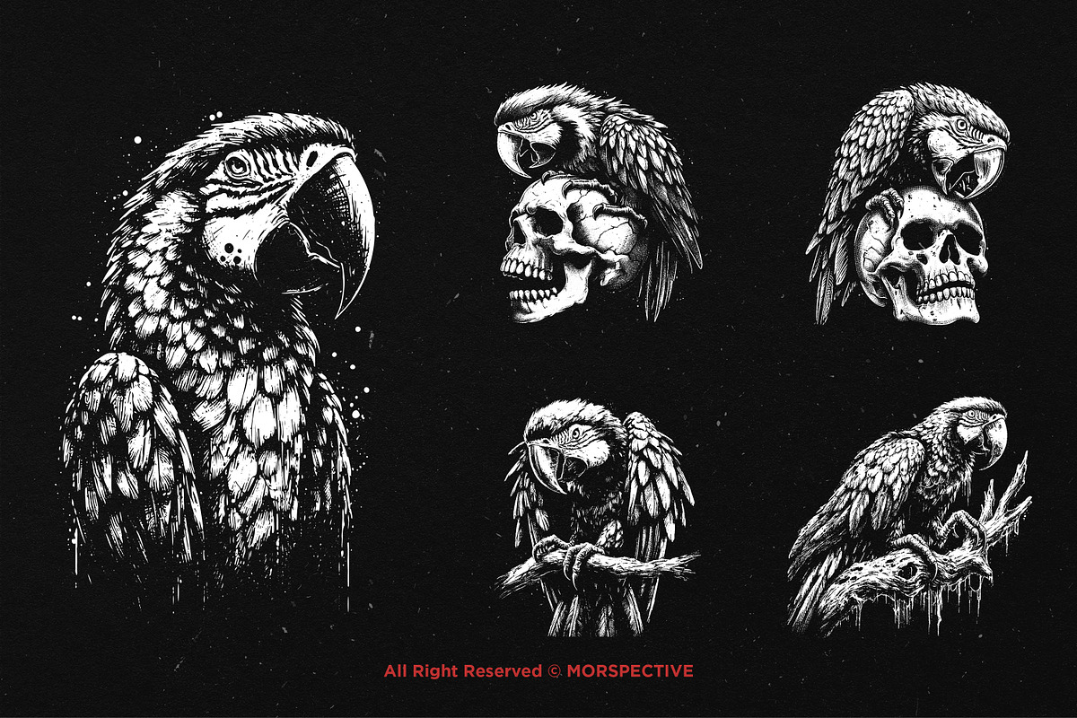 10 Bundle Dark Art Macaw Bird Parrot, an Illustration by Morspective (Photo 5 of 7)