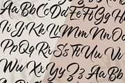 Kashina Brush Script, a Script Font by Debut Studio (Thumbnail 8 of 9)